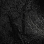 Inked-nature-in-your-spirit_Andrea_04