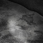 Inked-nature-in-your-spirit_Antonius_04