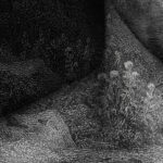 Inked-nature-in-your-spirit_David_04