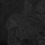 Inked-nature-in-your-spirit_Julie_04