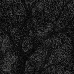 Inked-nature-in-your-spirit_Marcus_04