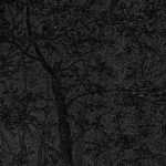 Inked-nature-in-your-spirit_Philip_04